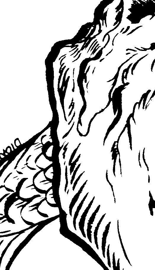 Detail ink illustration of scale and bone texture